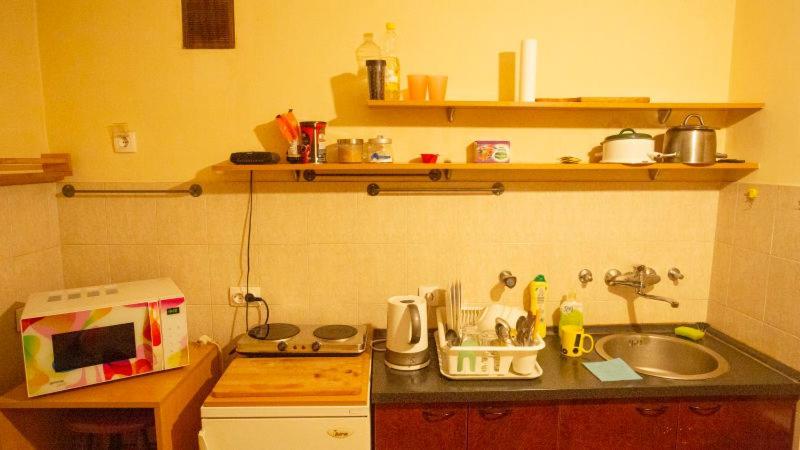 Private Cozy Room 2 With Shared Kitchen In Appartment Belgrade Luaran gambar
